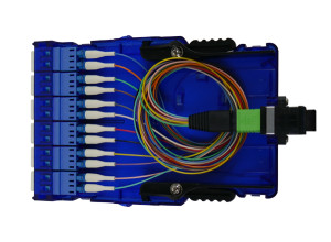 MPO - LC Fiber Cassette - 12C OS2 (UPC) - With Cable