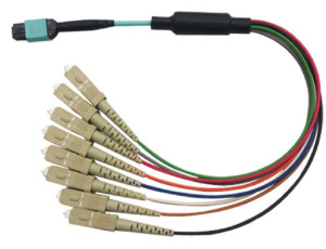 MPO (F) - 12 x SC Simplex - OM3 - With reversible MTX