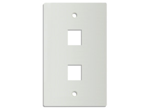 DINTEK 2 Port Wall Plate US Style (White)	